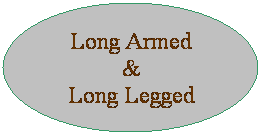 Oval: Long Armed 
&
Long Legged
